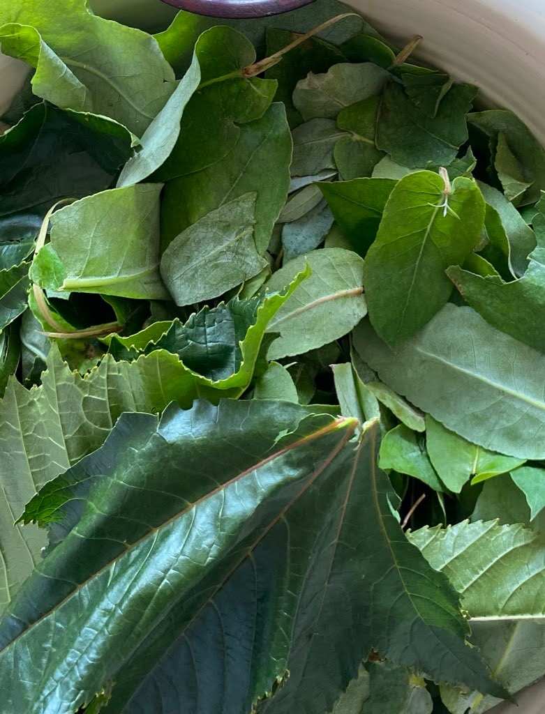 Mindful living and holistic health